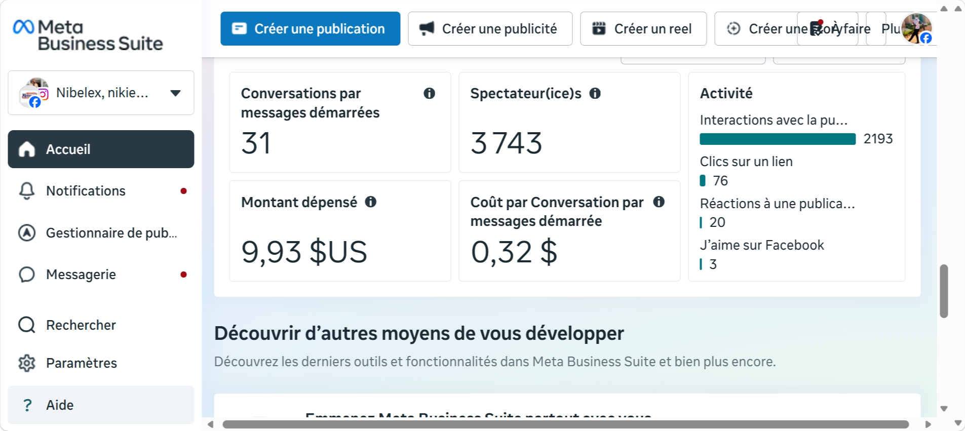 Résultats de campagne Nibelex sur Meta Business Suite